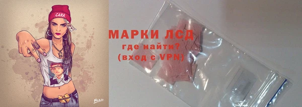 крисы Коряжма