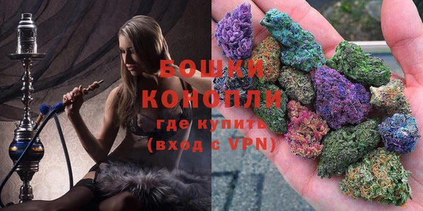 сатива Семёнов